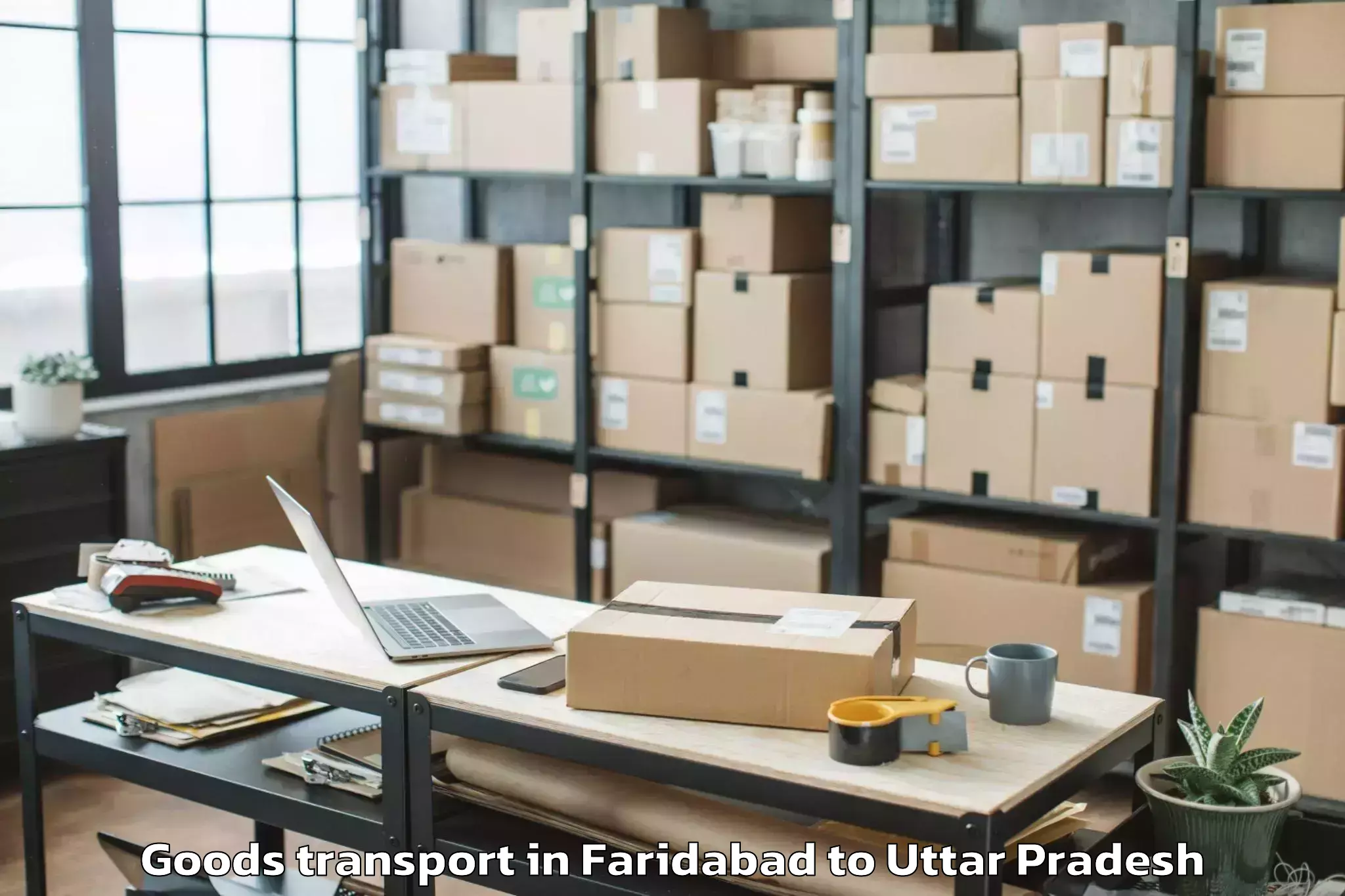 Book Faridabad to Abhilashi University Aligarh Goods Transport